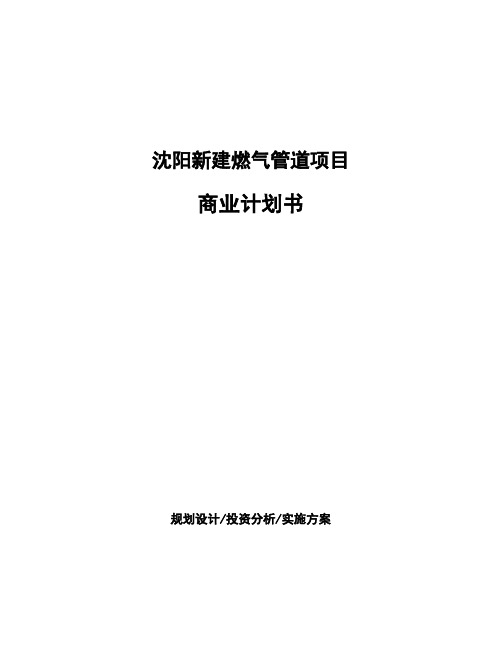 沈阳新建燃气管道项目商业计划书