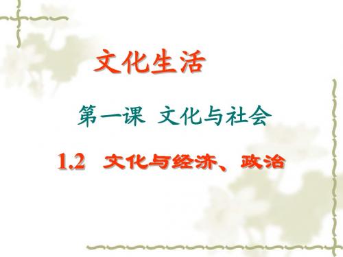 高中思想政治必修3 文化生活 1.2 文化与经济、政治