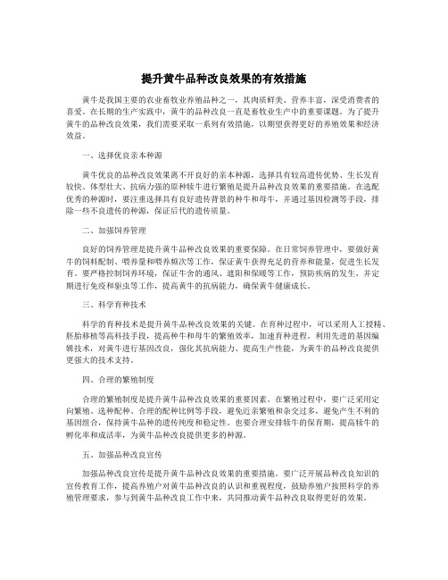 提升黄牛品种改良效果的有效措施