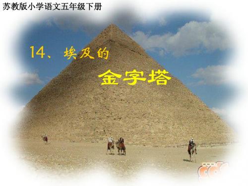 埃及的金字塔ppt课件3