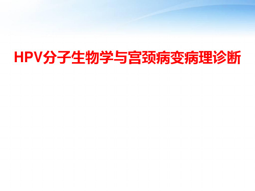 HPV分子生物学与宫颈病变病理诊断  ppt课件