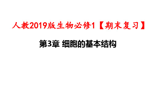 人教2019版生物必修1【期末复习】：第3章 细胞的基本结构