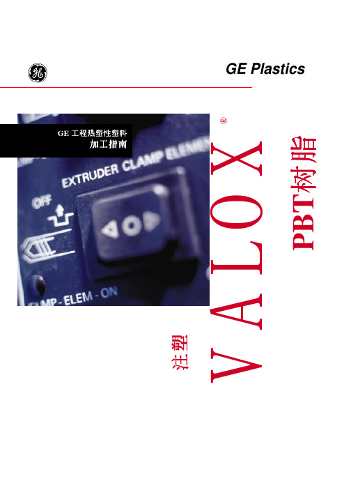 valox典型成型指南[01]