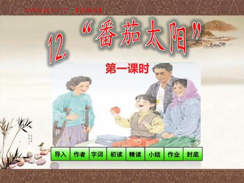 苏教版四年级语文下册教学课件_第四单元第12课_“番茄太阳”第1课时