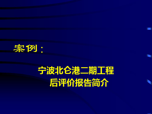 项目后评价(戴大双)(案例)