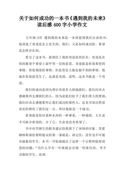 关于如何成功的一本书《遇到我的未来》读后感400字小学作文