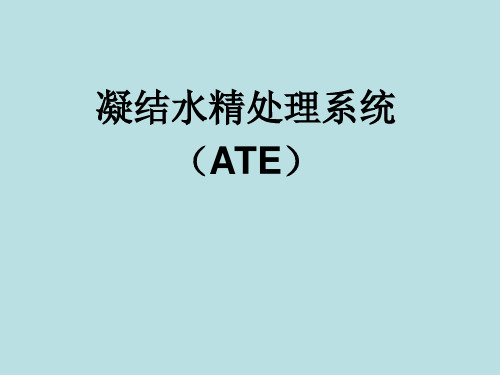 核电站凝结水精处理系统(ATE)