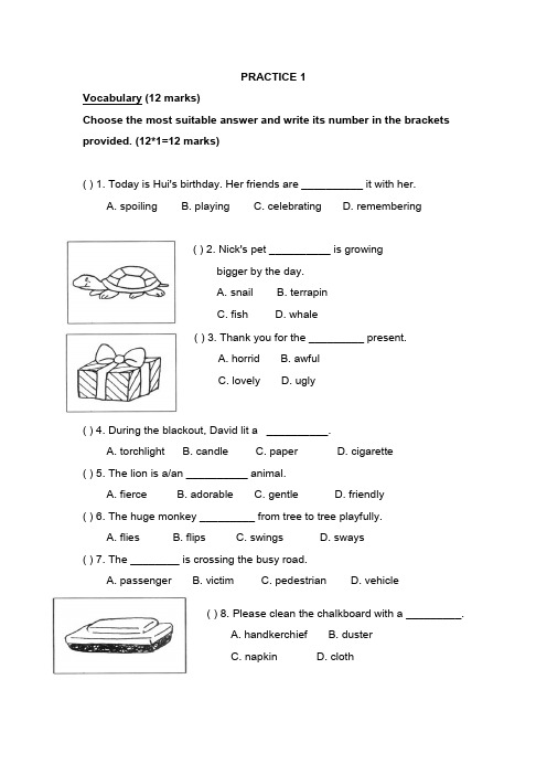 新加坡小学二年级英语试卷practice 1.doc