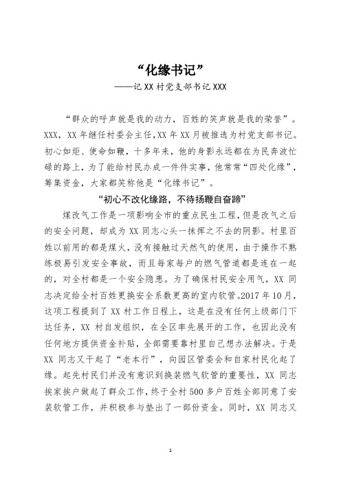 XX村党支部书记个人先进典型材料