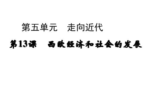 人教(部编版)九年级历史(上)西欧经济和社会的发展PPT优秀课件