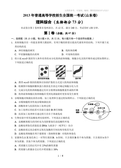 2013年高考理综生物试卷及答案(山东卷)