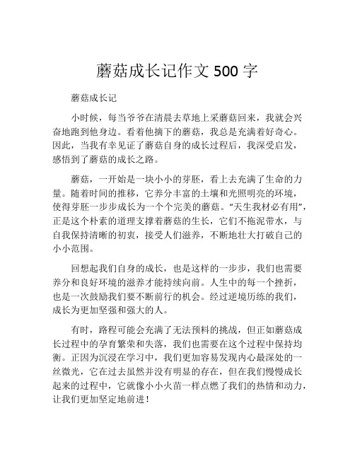 蘑菇成长记作文500字