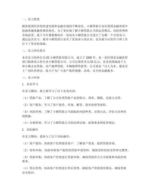 小额贷款公司实习报告