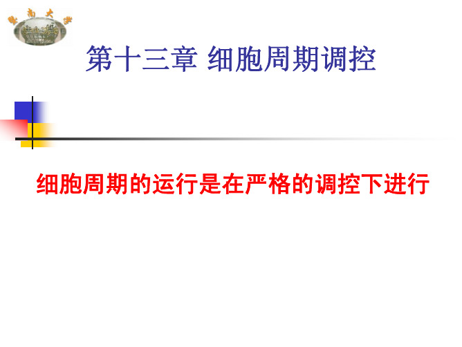12第十二讲 细胞周期调控