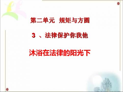 2019年-五年级下册品德课件-2.3《法律保护你我他》3∣教科版(共19张PPT)-PPT精选文档