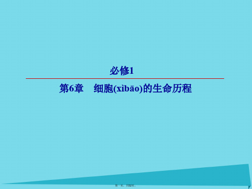 高考生物一轮复习第6章细胞的生命历程第1节细胞的增殖课件新人教版必修1