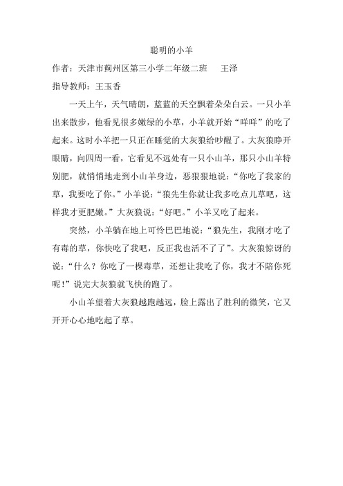 聪明的小羊 王泽