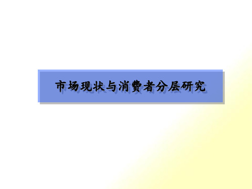 [精选]北京李宁体育用品有限公司市场现状与消费者分层研究