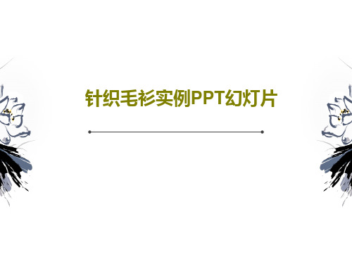 针织毛衫实例PPT幻灯片33页PPT