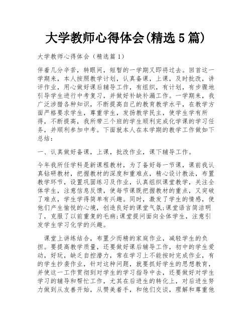 大学教师心得体会(精选5篇)