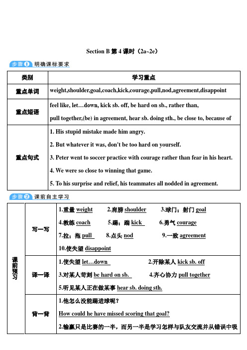 人教版英语九年级下册：(Unit 11)Section B(2a～2e)【教案】