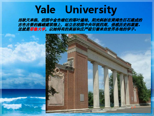 Yale   University