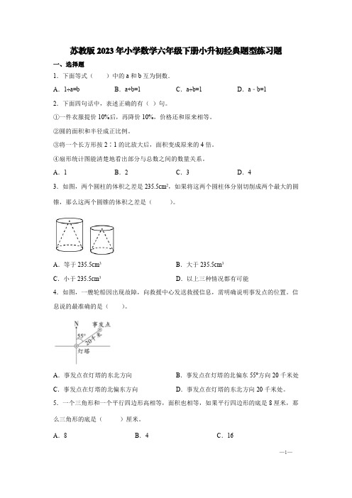 苏教版2023年小学数学六年级下册小升初经典题型练习题【含答案】