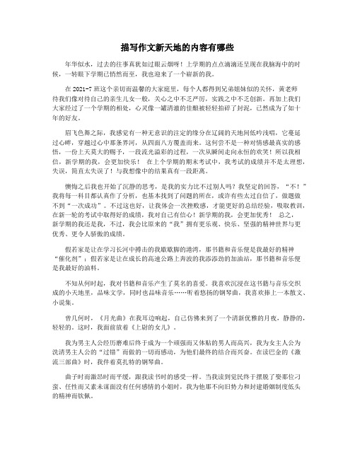 描写作文新天地的内容有哪些