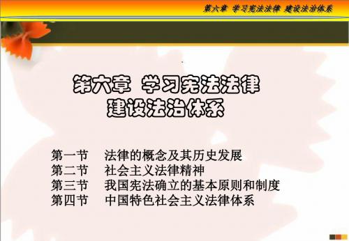 第六章 学习宪法法律 建设法治体系