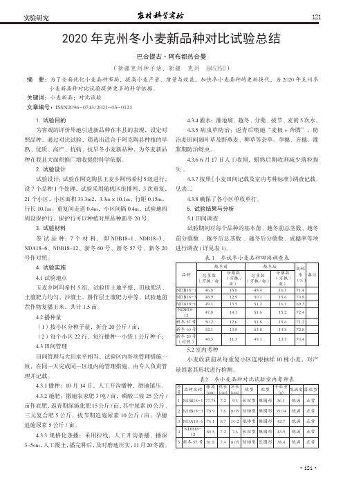 2020年克州冬小麦新品种对比试验总结