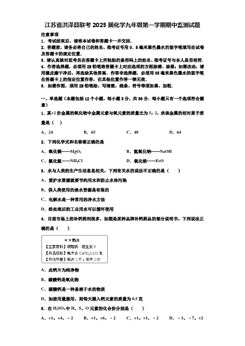 江苏省洪泽县联考2025届化学九年级第一学期期中监测试题含解析