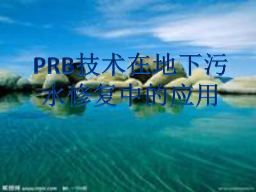 PRB技术在地下污水修复中的