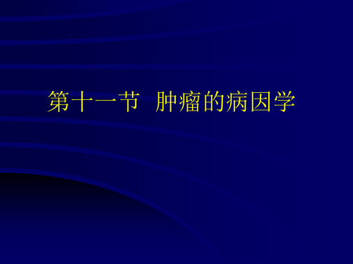 基础医学北大病理学PPT课件第十一节 肿瘤的病因学