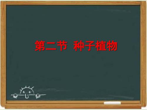 部编人教版七年级生物上册《种子植物》课件