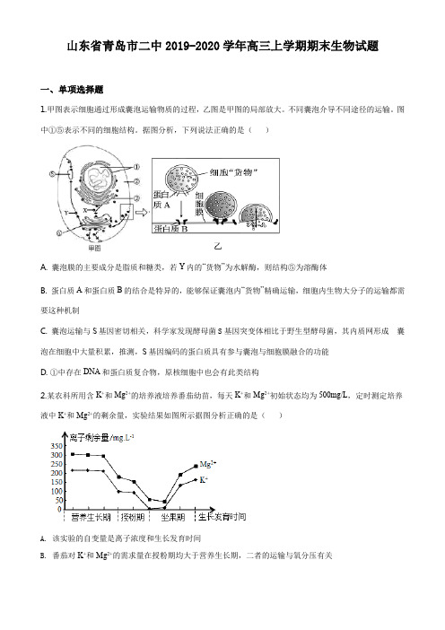 山东省青岛市二中2019-2020学年高三上学期期末生物试题