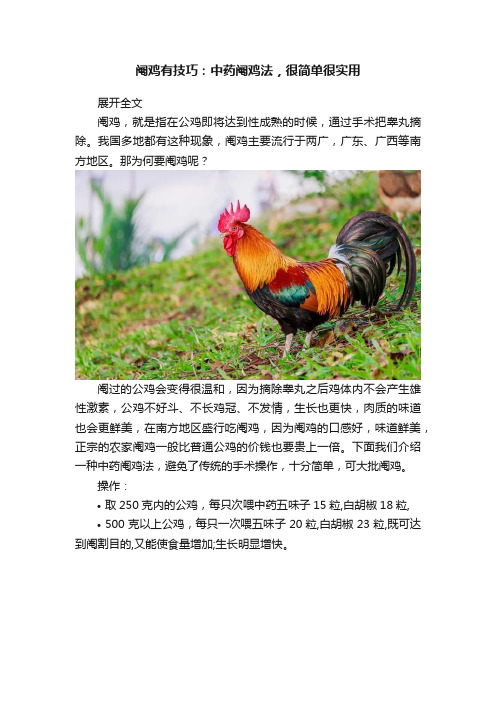 阉鸡有技巧：中药阉鸡法，很简单很实用