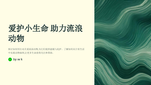 爱护小生命助力流浪动物主题班会PPT课件