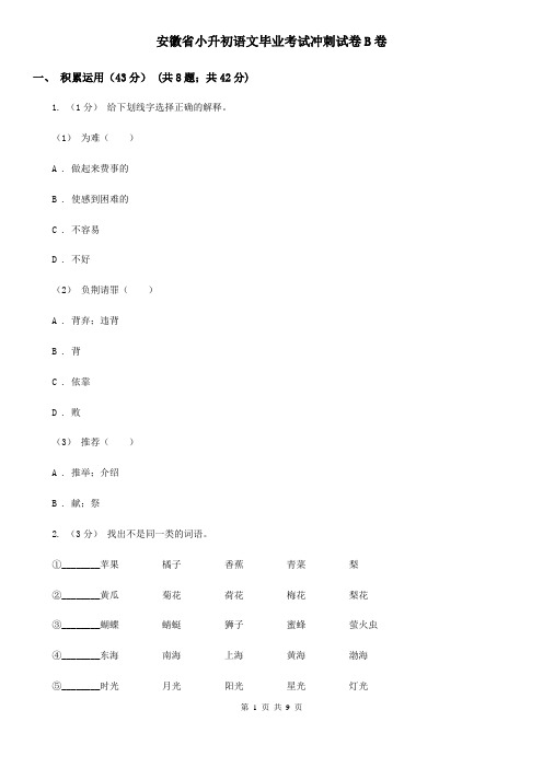 安徽省小升初语文毕业考试冲刺试卷B卷