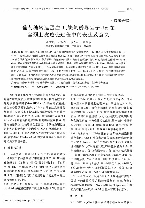 葡萄糖转运蛋白-1、缺氧诱导因子-1α在宫颈上皮癌变过程中的表达及意义