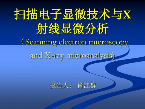 扫描电子显微技术与x射线显微分析