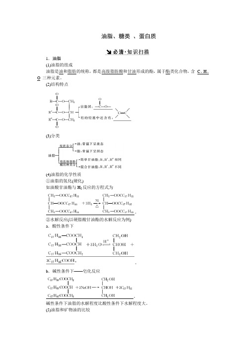 油脂、糖类 、蛋白质