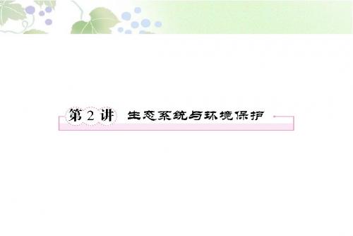 2013年高考生物总复习重点精品课件：生态系统与环境保护 高考总复习