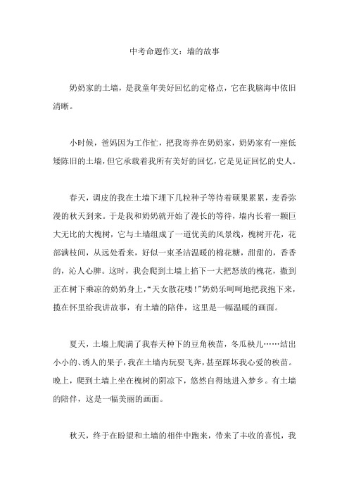 【命题作文范文】 墙的故事
