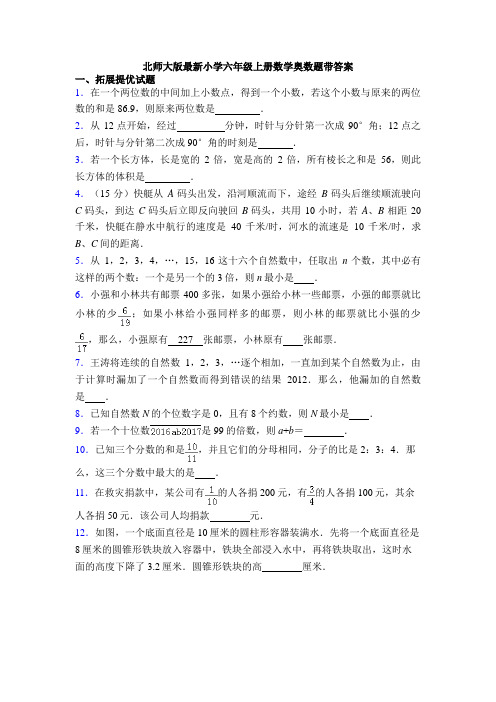 北师大版最新小学六年级上册数学奥数题带答案