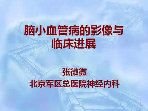 脑小血管病的影像与临床PPT课件