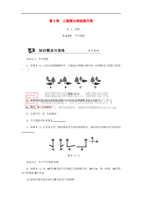 九年级数学下册 第3章 投影与三视图 3.1 投影 第1课时 平行投影同步练习 (新版)浙教版