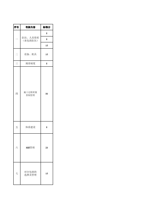 承包商管理及冬季施工安全生产大检查内容-表2-工程建设承包商检查内容