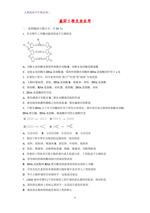 高中生物必修二课时作业28：6.2 基因工程及其应用