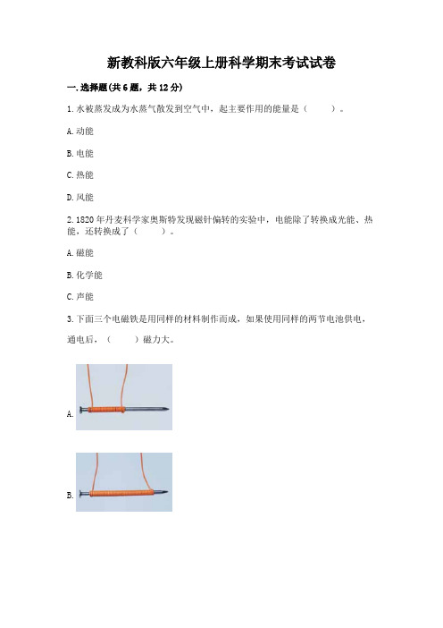 新教科版六年级上册科学期末考试试卷(含答案)