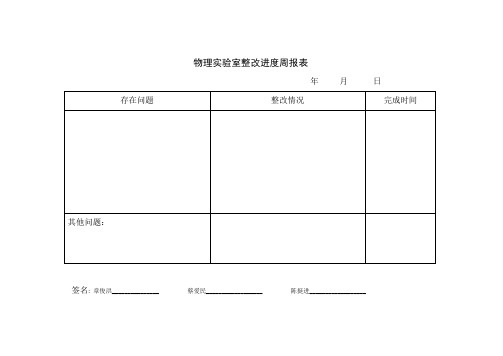 整改进度周报表